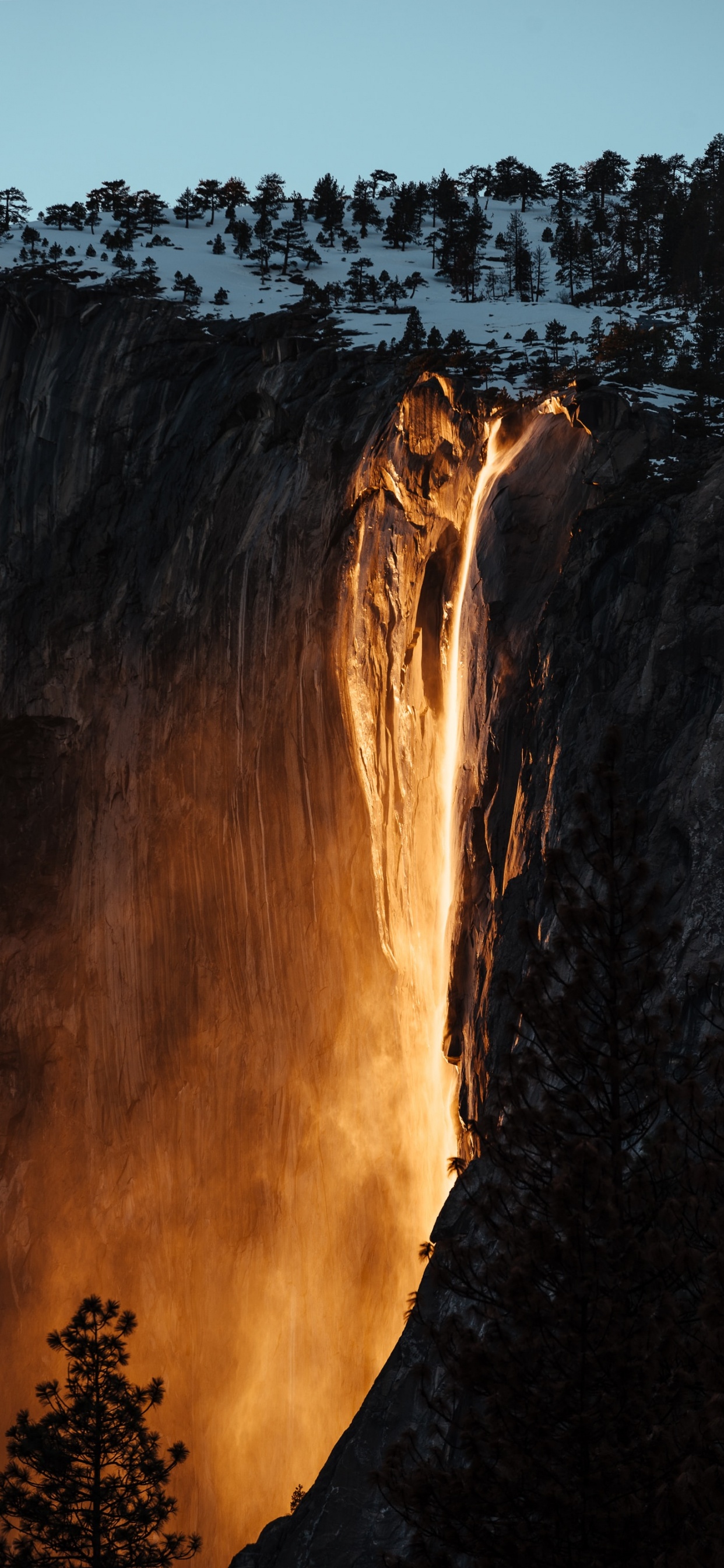 Обои дерево, небо, Йосемити Все, формирование, природа в разрешении 1242x2688