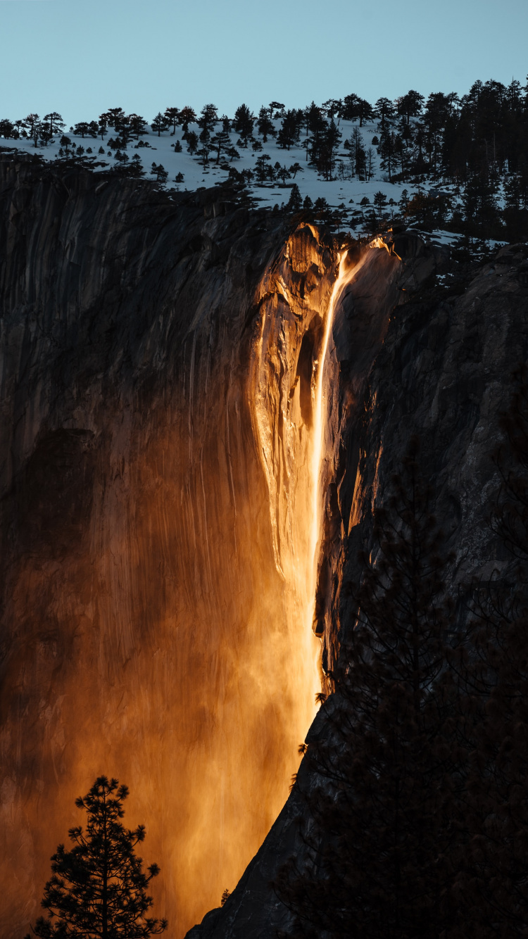 Обои дерево, небо, Йосемити Все, формирование, природа в разрешении 750x1334