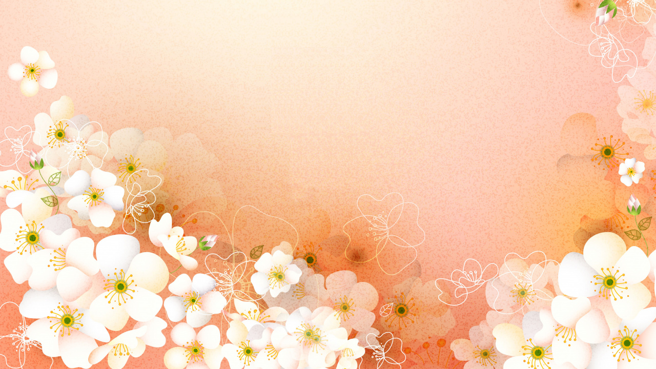 Обои розовый, цветок, весна, лепесток, цветочный дизайн в разрешении 1280x720