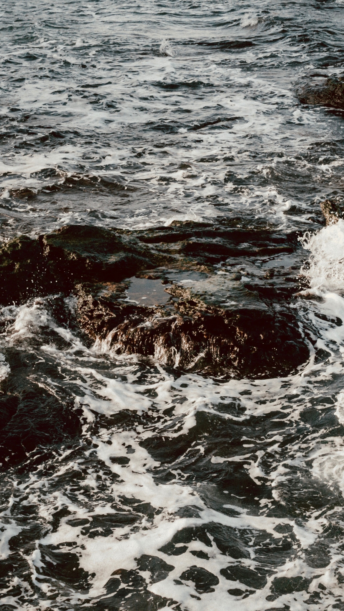 Обои море, побережье, ветровая волна, вода, прилив в разрешении 1440x2560