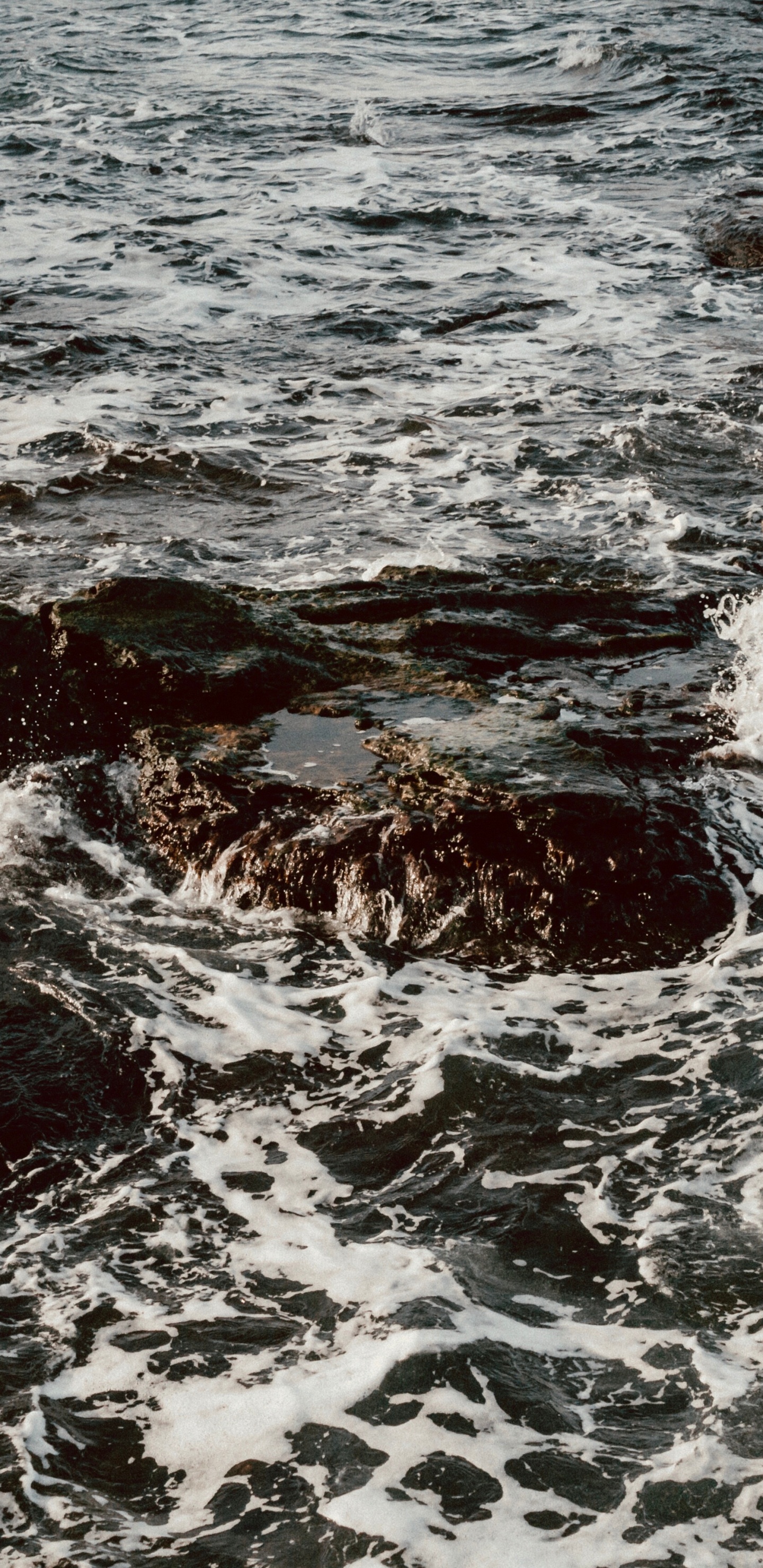 Обои море, побережье, ветровая волна, вода, прилив в разрешении 1440x2960