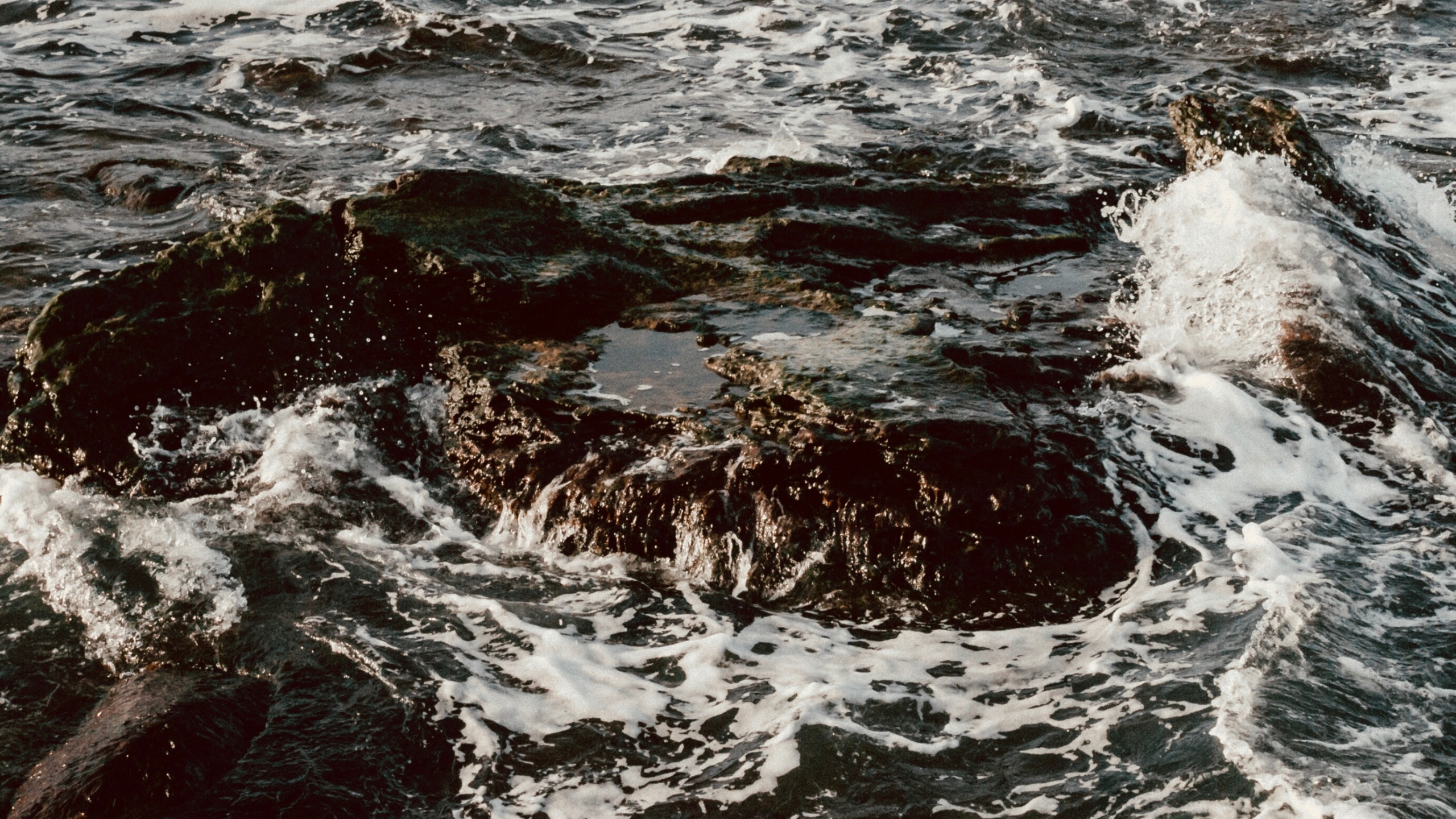 Обои море, побережье, ветровая волна, вода, прилив в разрешении 2560x1440