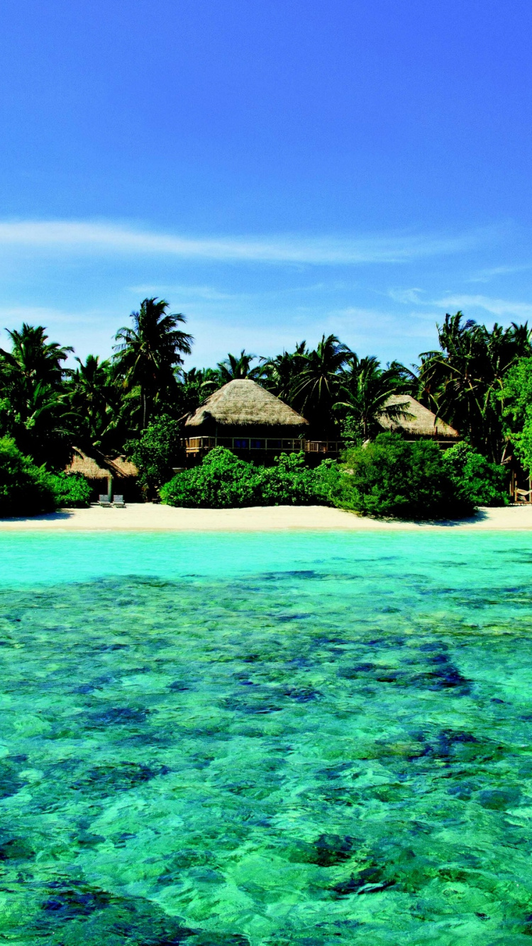 Обои море, природа, тропическая зона, растительность, прибрежные и океанические рельефы в разрешении 750x1334