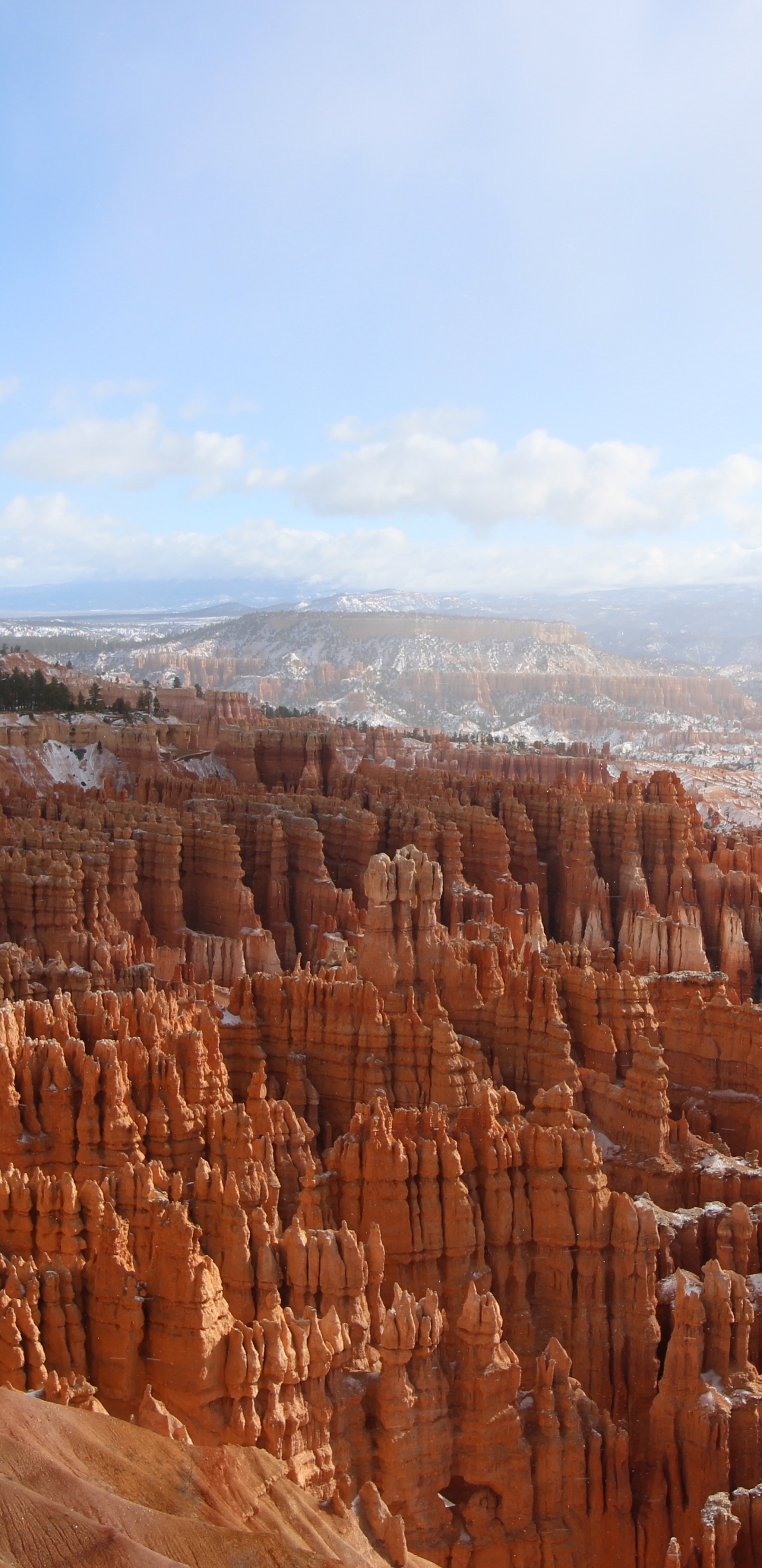 Обои национальный парк Брайсканьон, национальный парк, бесплодные земли, каньон, дикая местность в разрешении 1440x2960