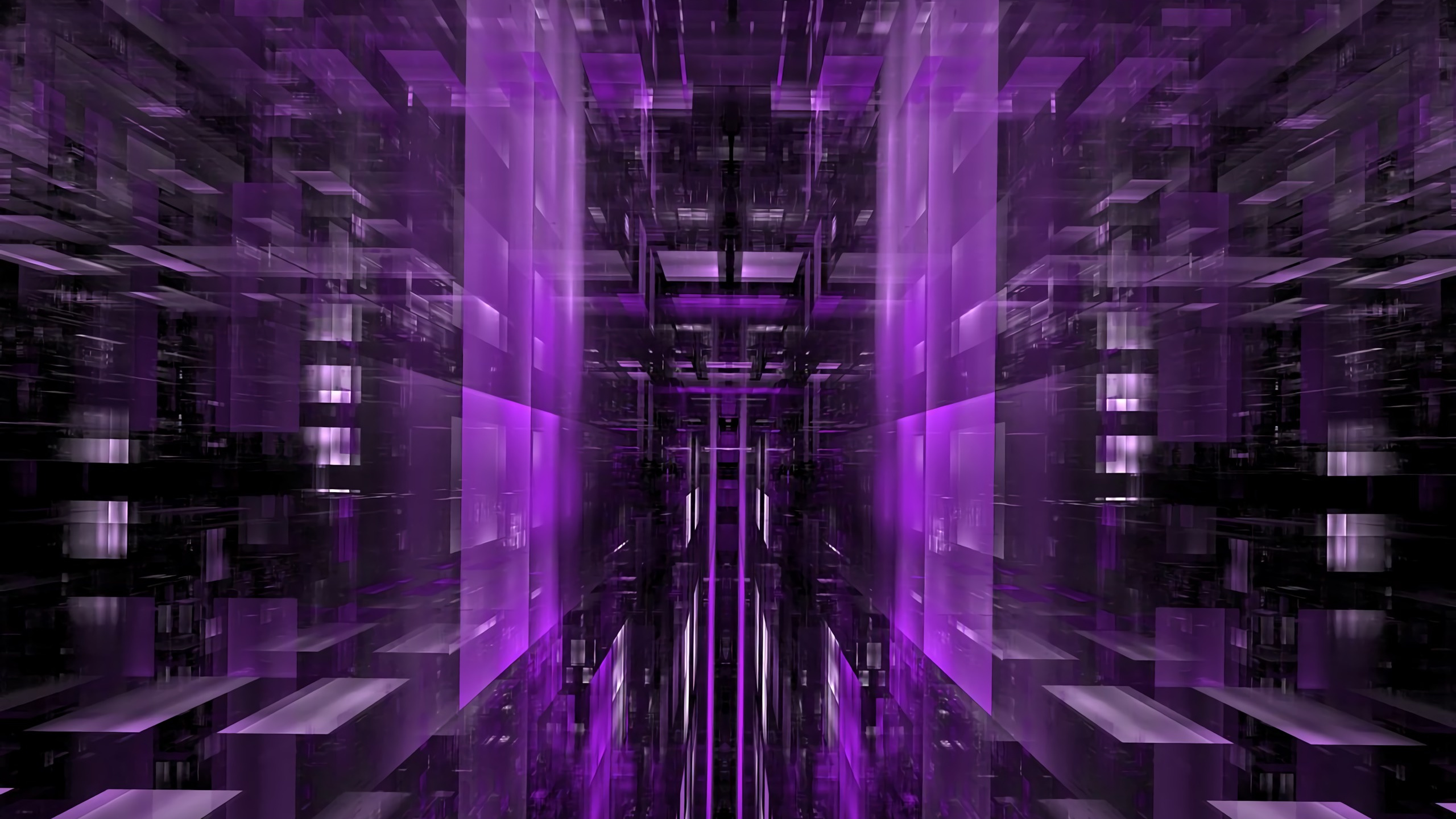 Обои пурпур, Фиолетовый, свет, линия, симметрия в разрешении 2560x1440