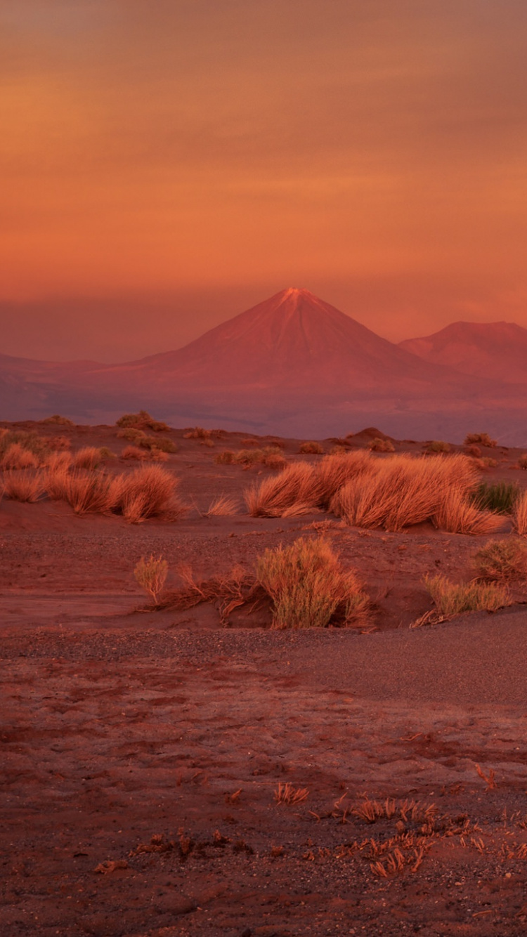 Обои пустыня, экорегион, утро, горизонт, национальный парк в разрешении 750x1334