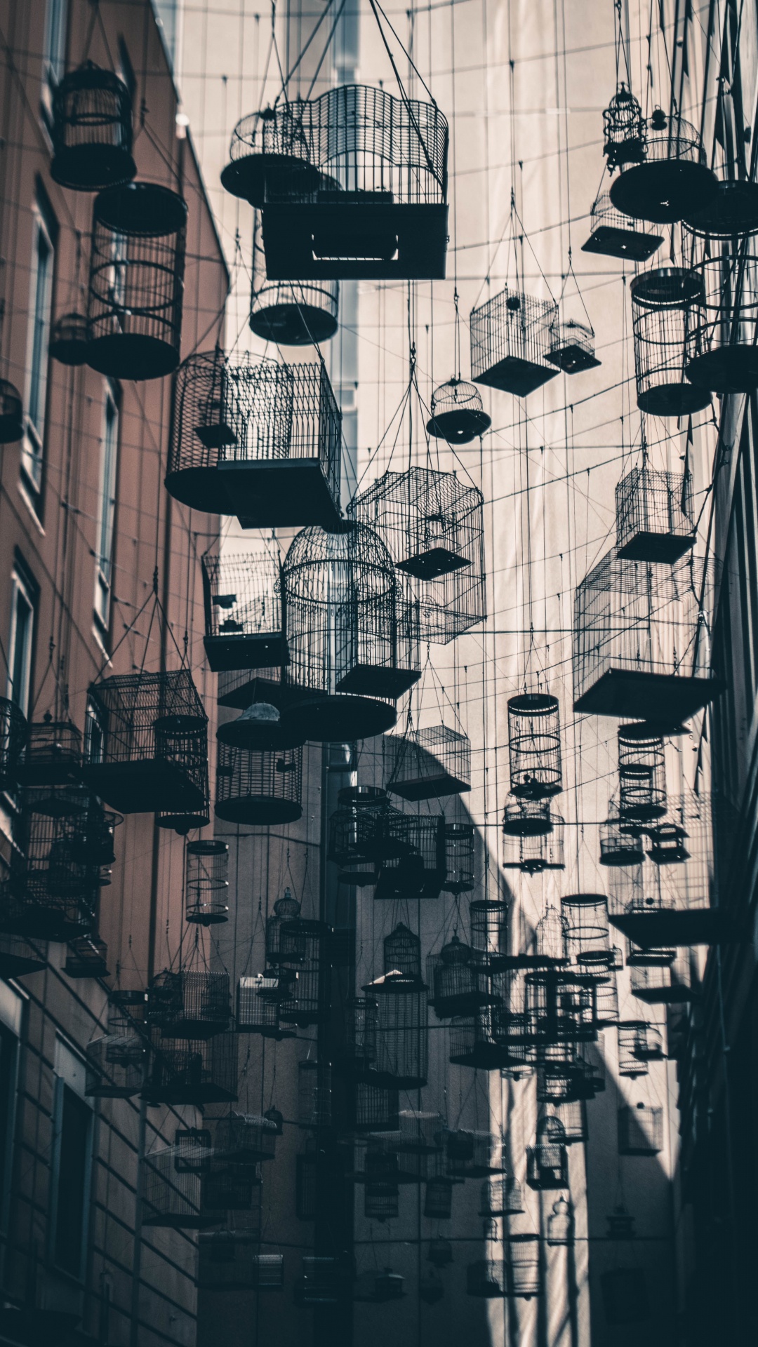 Обои архитектура, инфраструктура, улица, город, монохромный в разрешении 1080x1920