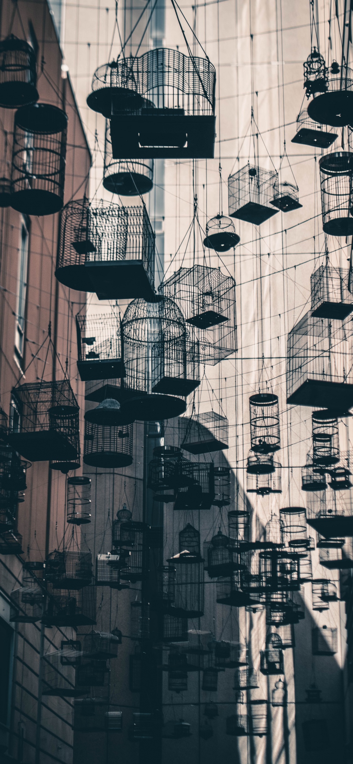 Обои архитектура, инфраструктура, улица, город, монохромный в разрешении 1125x2436