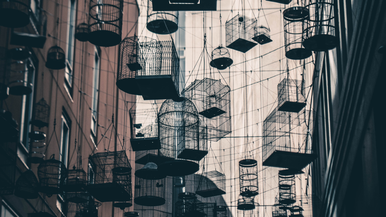 Обои архитектура, инфраструктура, улица, город, монохромный в разрешении 1280x720