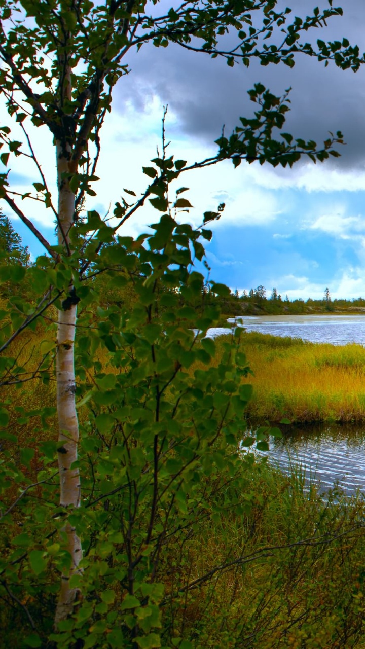 Обои природа, водоем, вода, отражение, природный заповедник в разрешении 720x1280