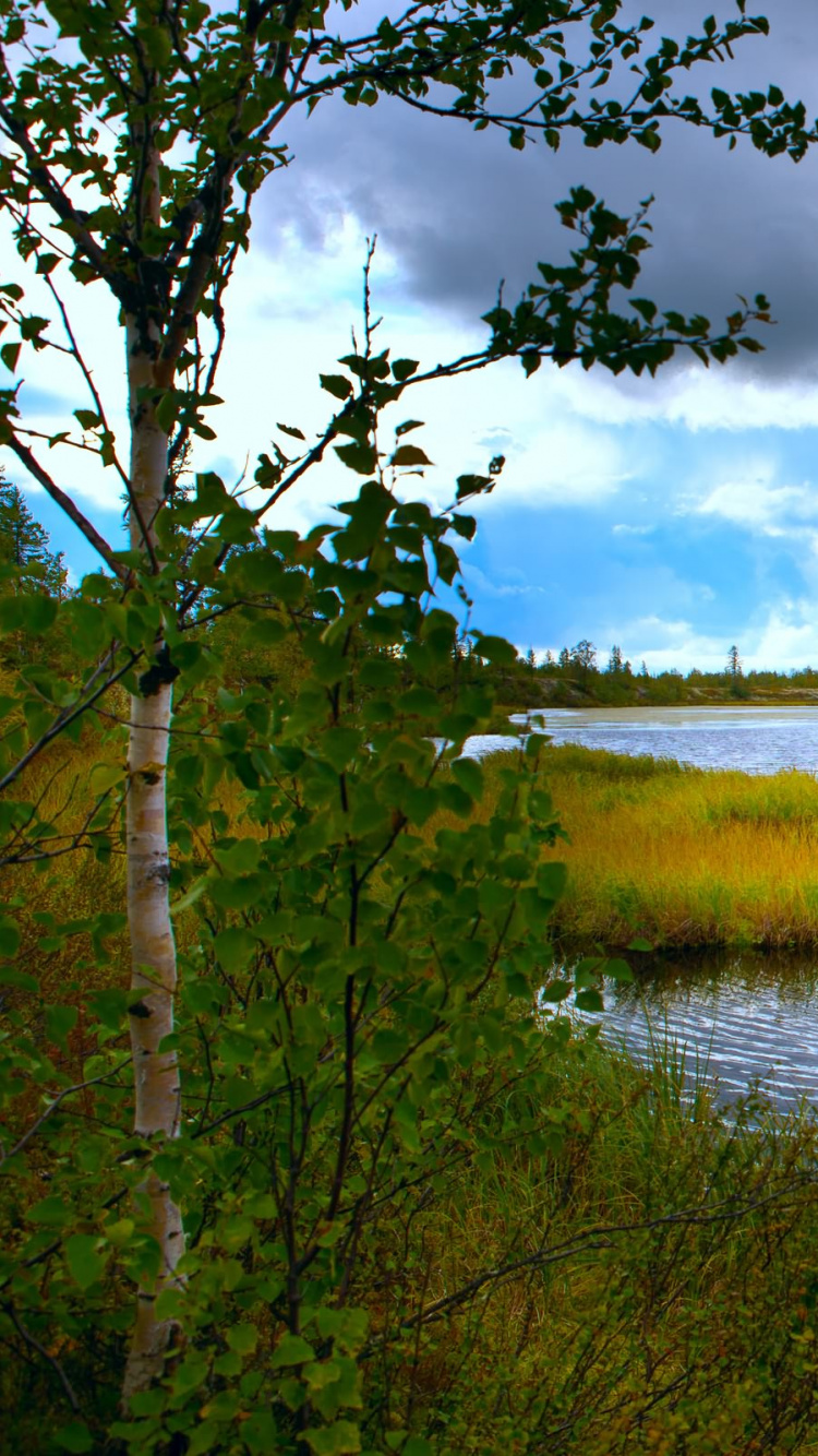 Обои природа, водоем, вода, отражение, природный заповедник в разрешении 750x1334