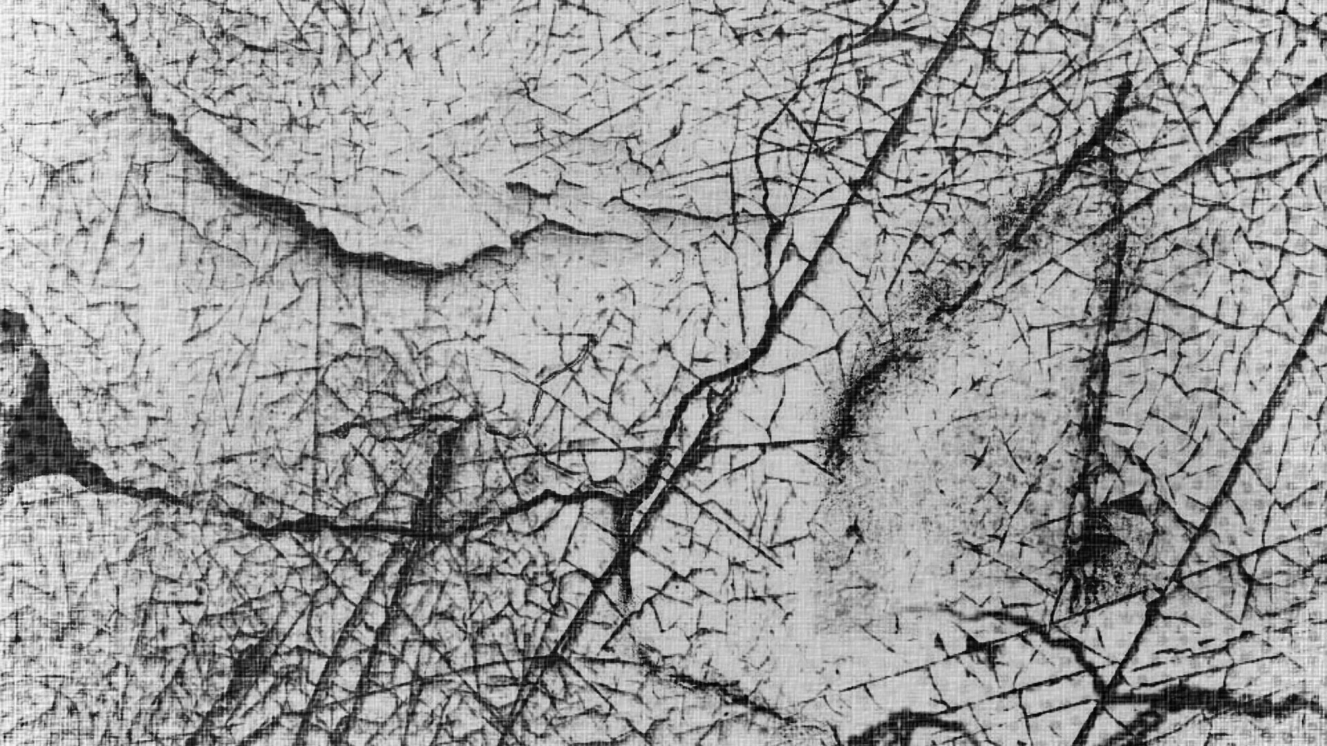 Обои абстракция, абстрактное искусство, ветвь, дерево, лист в разрешении 1920x1080