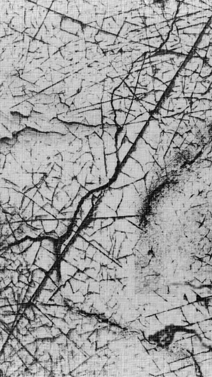 Обои абстракция, абстрактное искусство, ветвь, дерево, лист в разрешении 720x1280