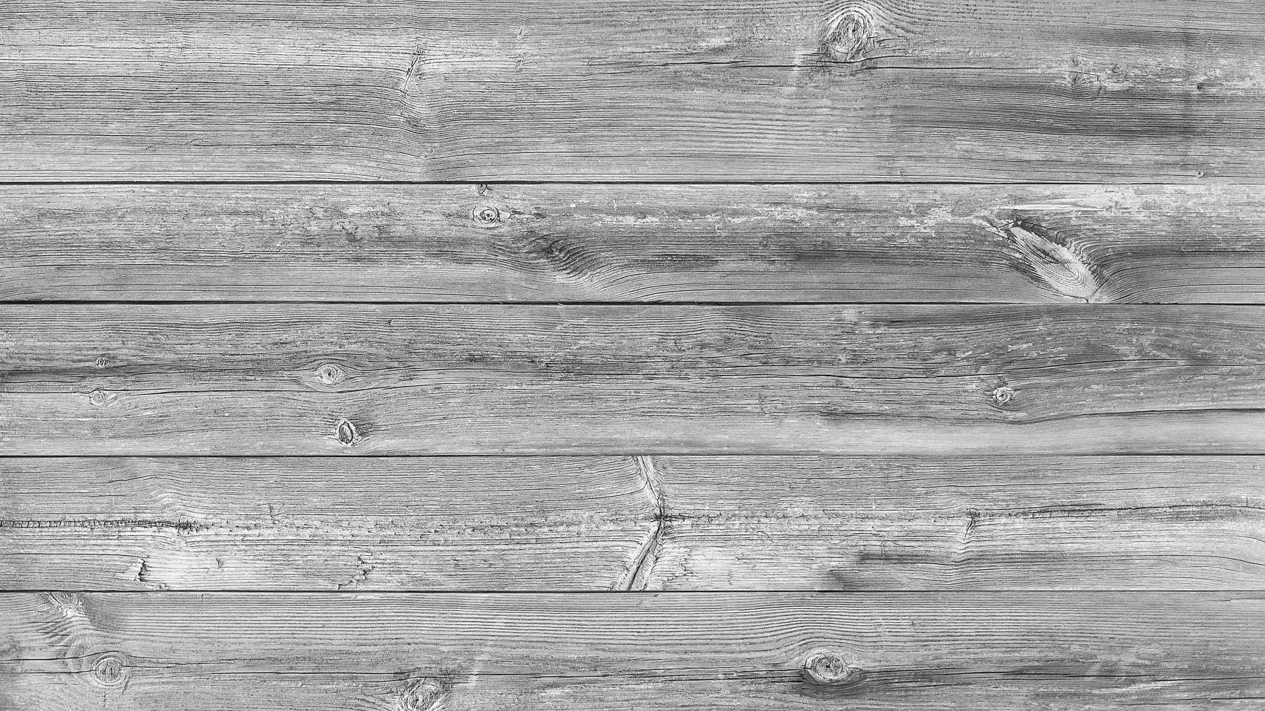 Обои морилка, черный и белый, наложение текстуры, дерево, монохромный в разрешении 2560x1440