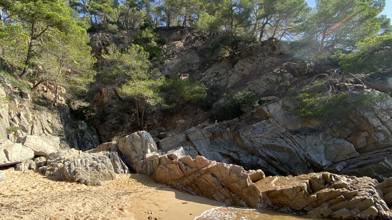 Обои побережье, рок, коренная порода, геология, формирование в разрешении 1366x768