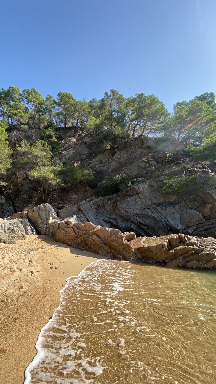 Обои побережье, рок, коренная порода, геология, формирование в разрешении 720x1280