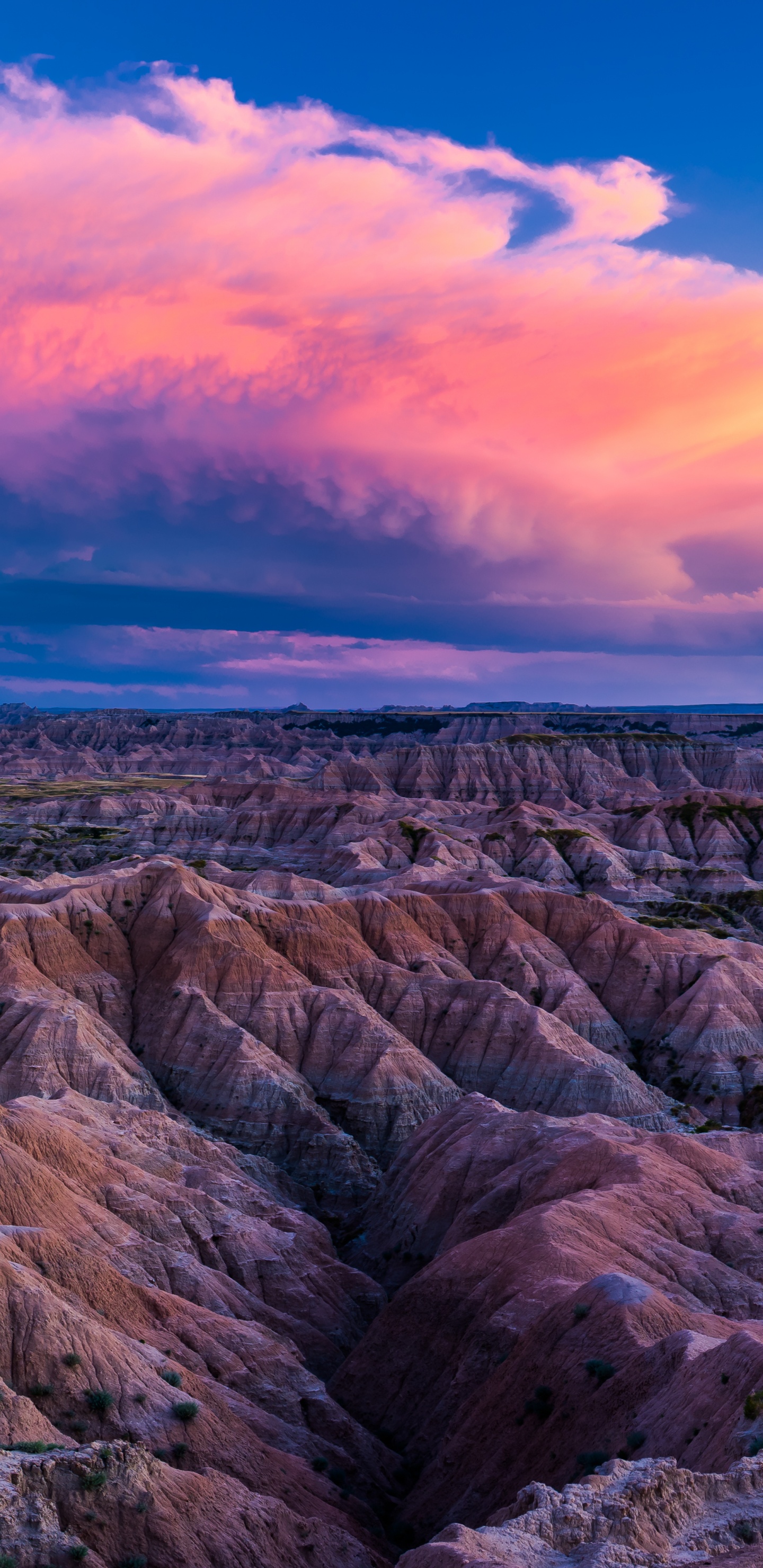 Обои национальный парк бедленд, йосемитский национальный парк, национальный парк, парк, бесплодные земли в разрешении 1440x2960