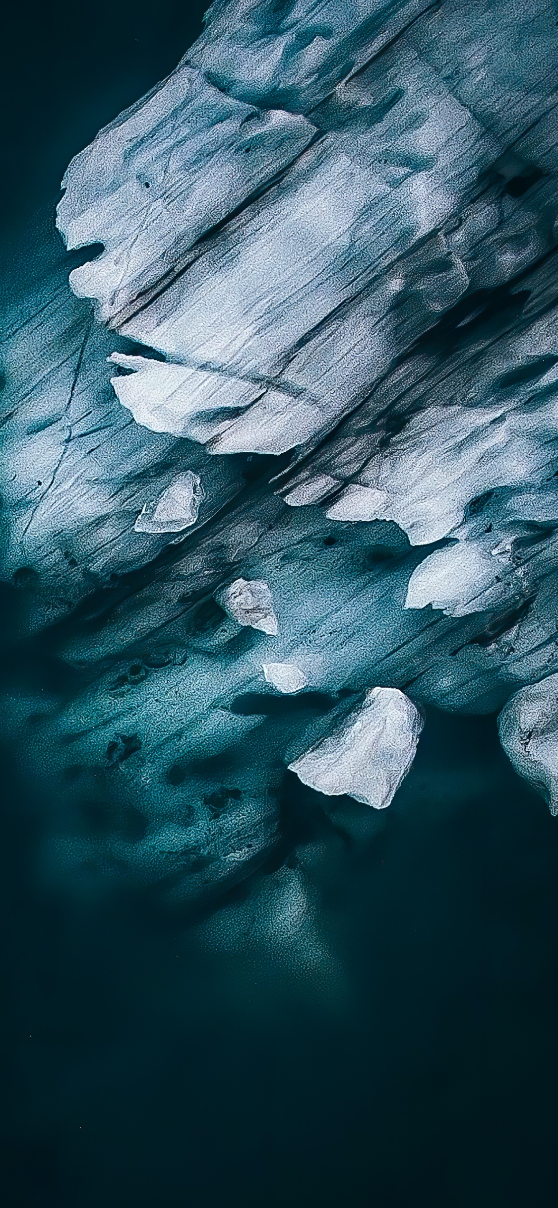 Обои постельное белье, м-027, растение, вода, облако в разрешении 1125x2436