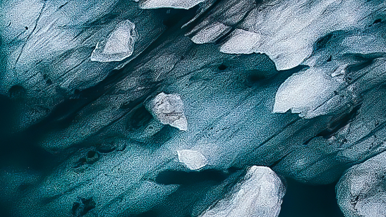 Обои постельное белье, м-027, растение, вода, облако в разрешении 1280x720