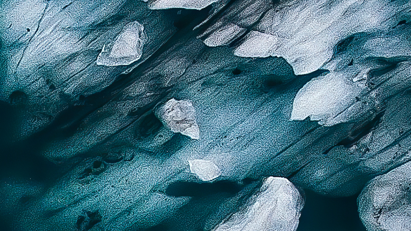 Обои постельное белье, м-027, растение, вода, облако в разрешении 1366x768