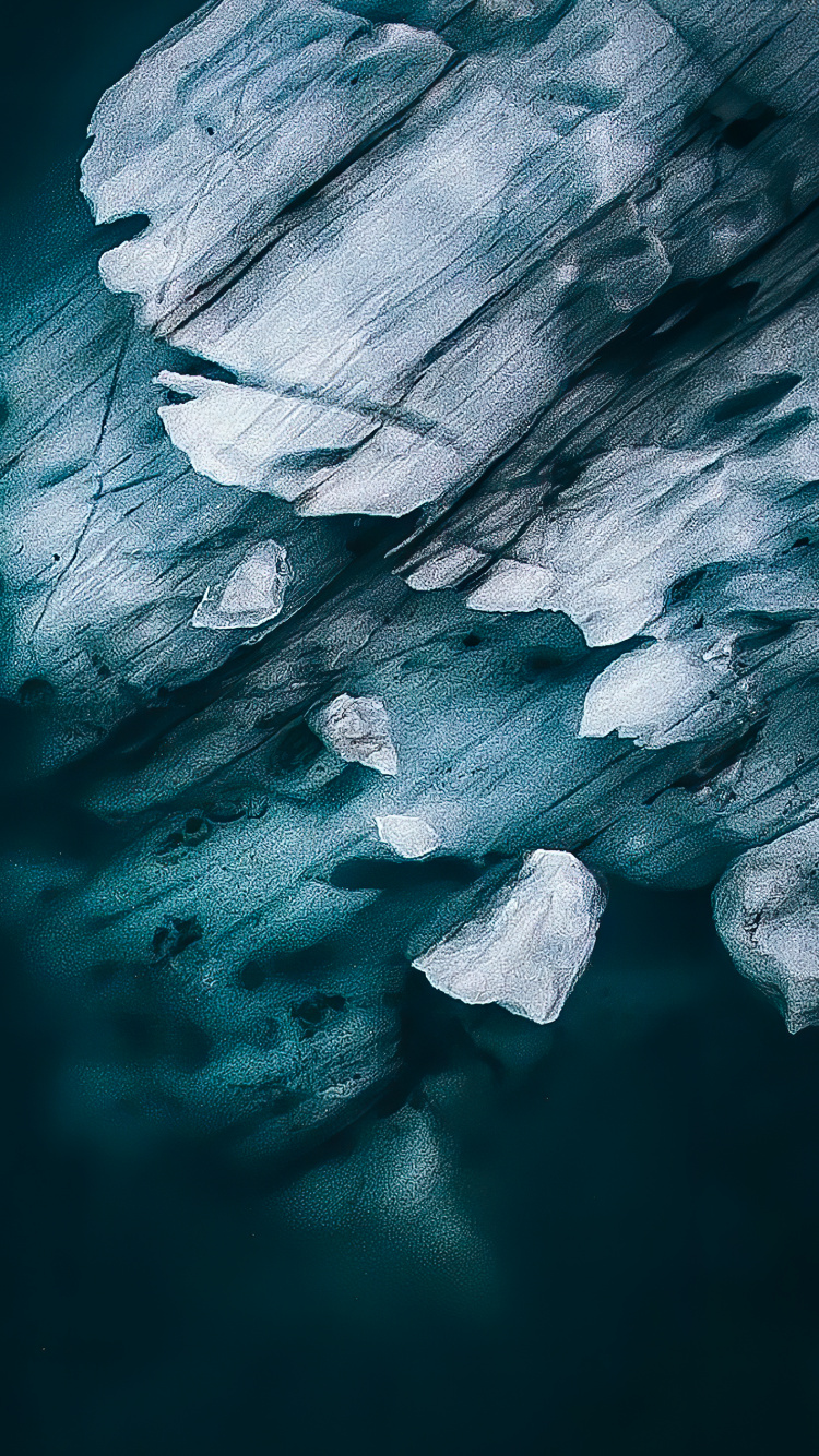 Обои постельное белье, м-027, растение, вода, облако в разрешении 750x1334