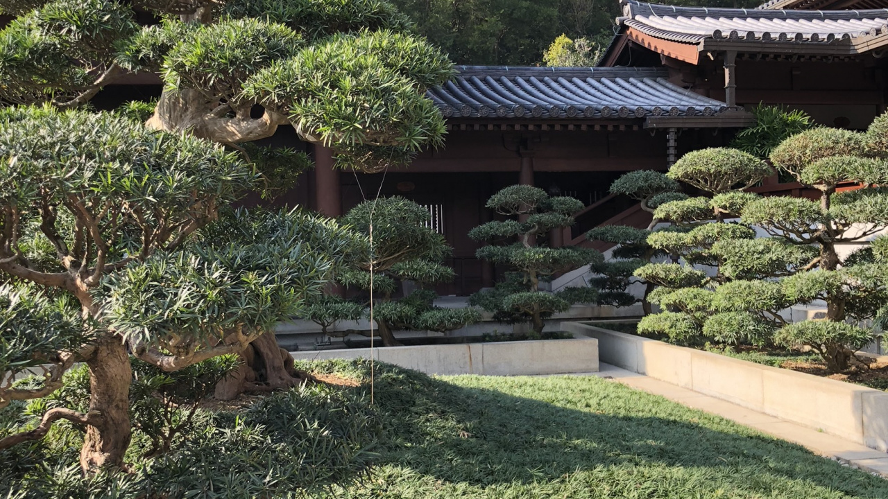 Обои Гонконг, дерево, пейзаж, растительность, китайская архитектура в разрешении 1280x720