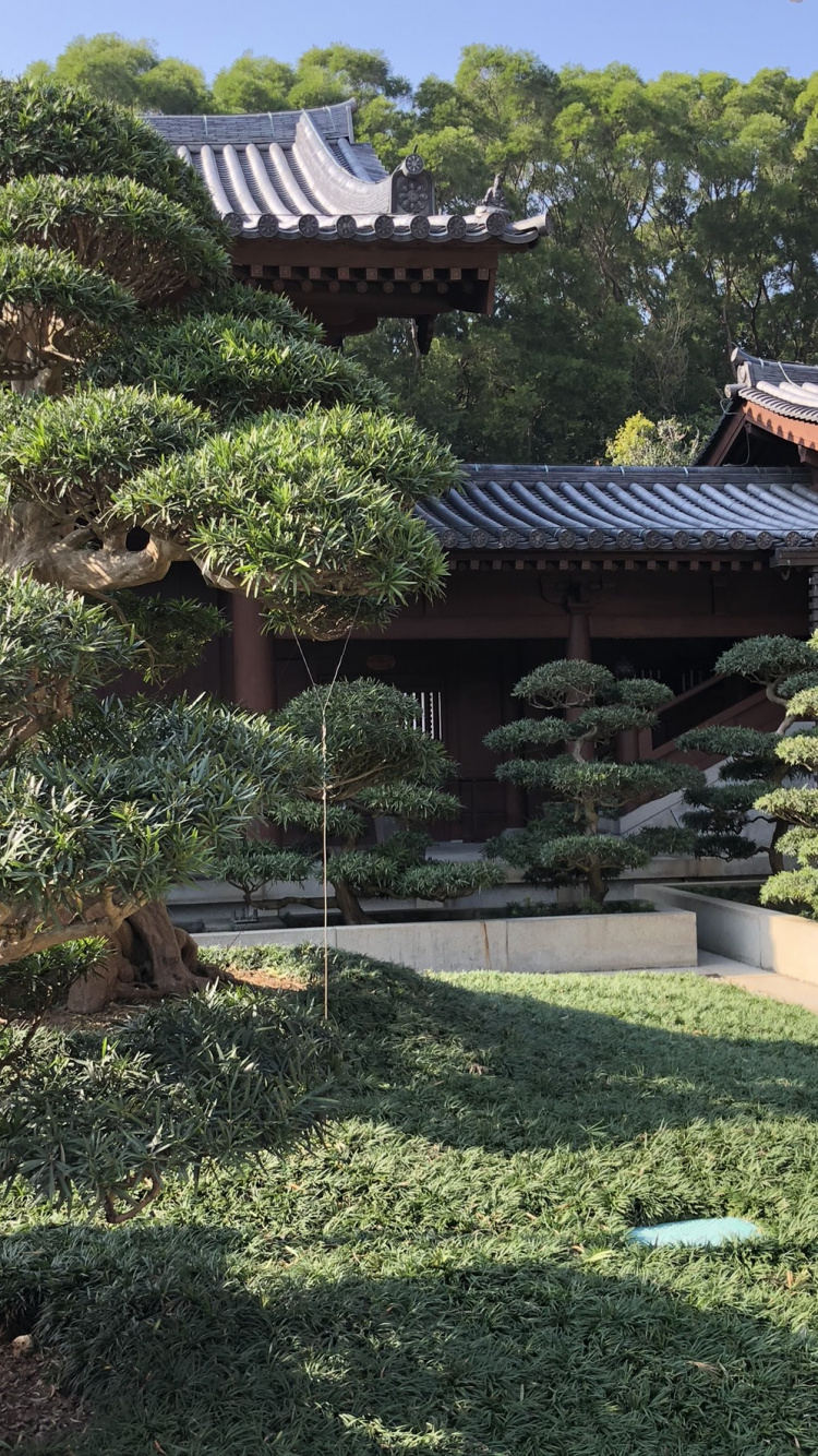 Обои Гонконг, дерево, пейзаж, растительность, китайская архитектура в разрешении 750x1334