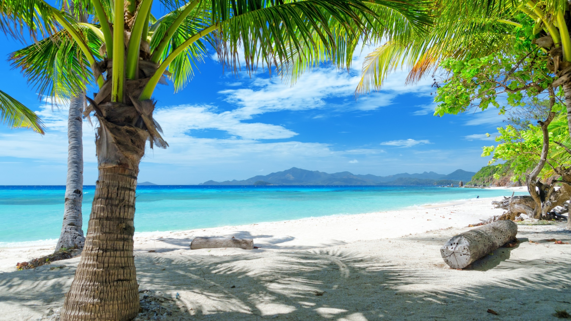 Обои пляж, тропическая зона, берег, Пальма, Карибский бассейн в разрешении 1920x1080