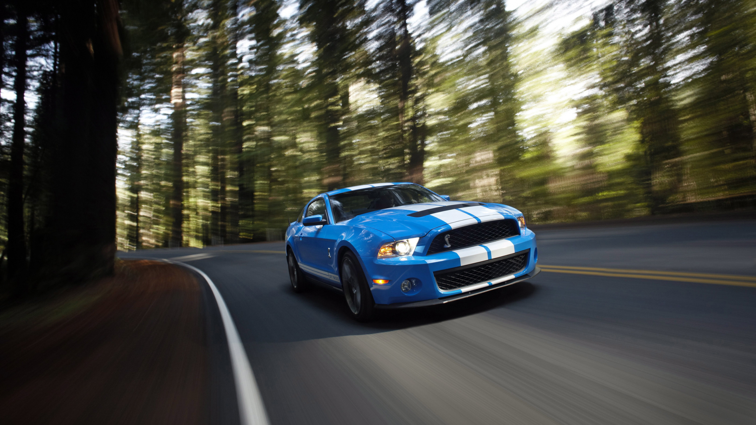 Ford Mustang gt на дороге в реале