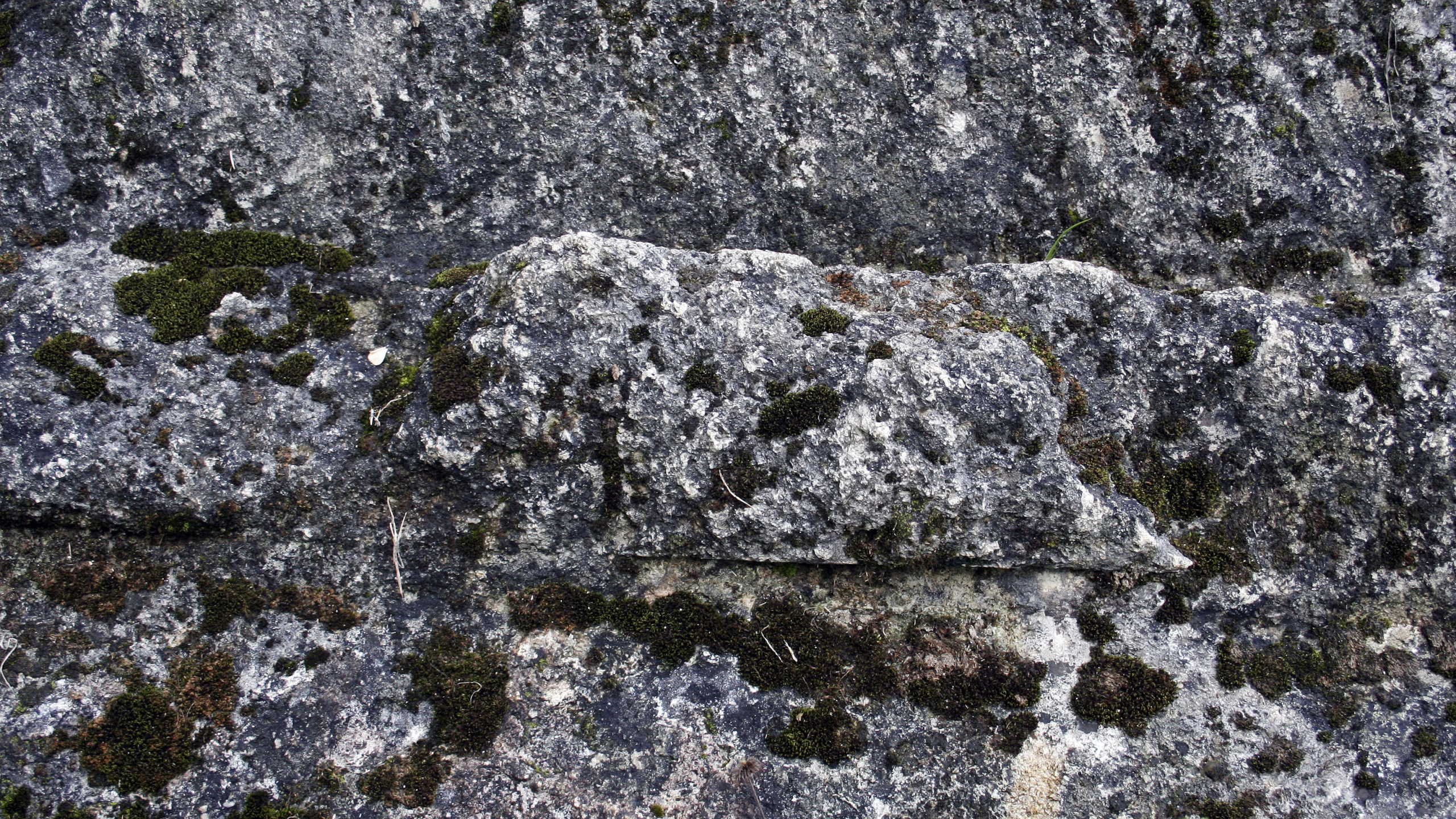 Обои геология, каменная стена, рок, коренная порода, стена в разрешении 2560x1440