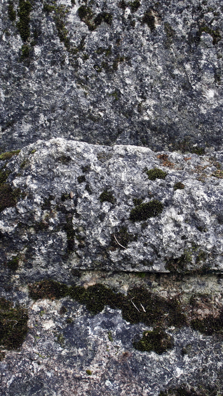 Обои геология, каменная стена, рок, коренная порода, стена в разрешении 750x1334