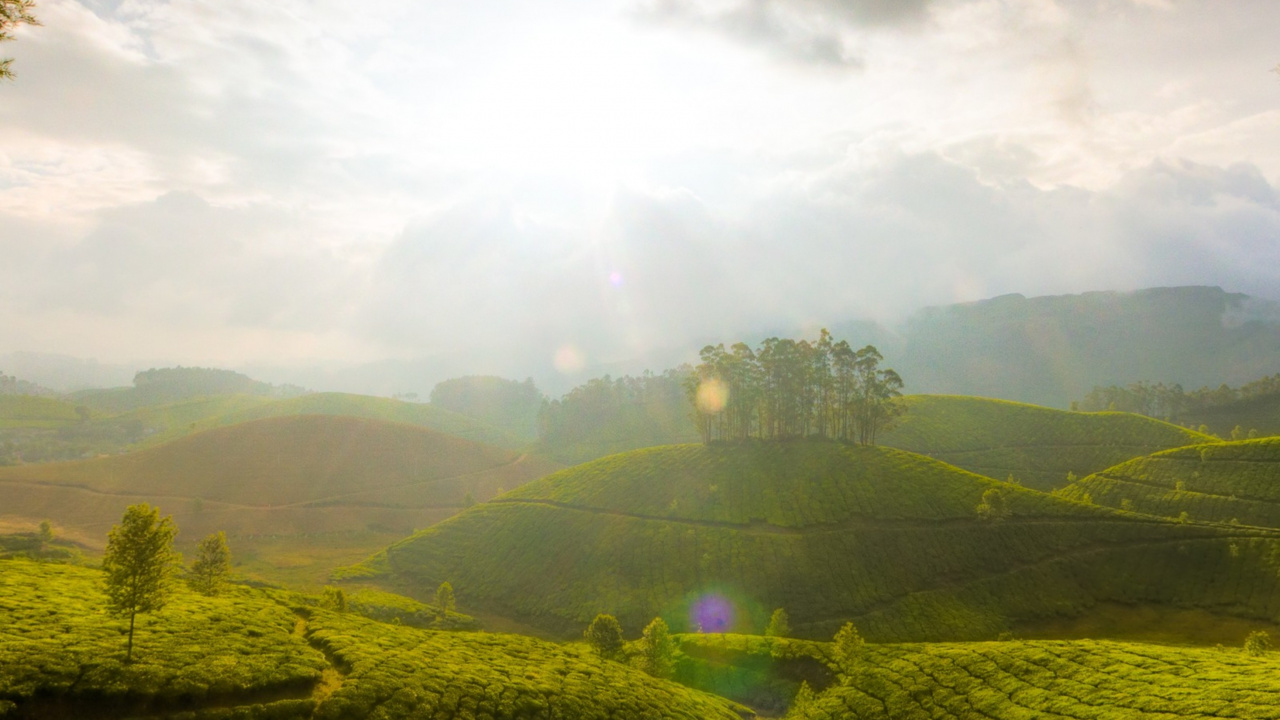 Обои муннар, Кумараком, природа, зеленый, горная станция в разрешении 1280x720