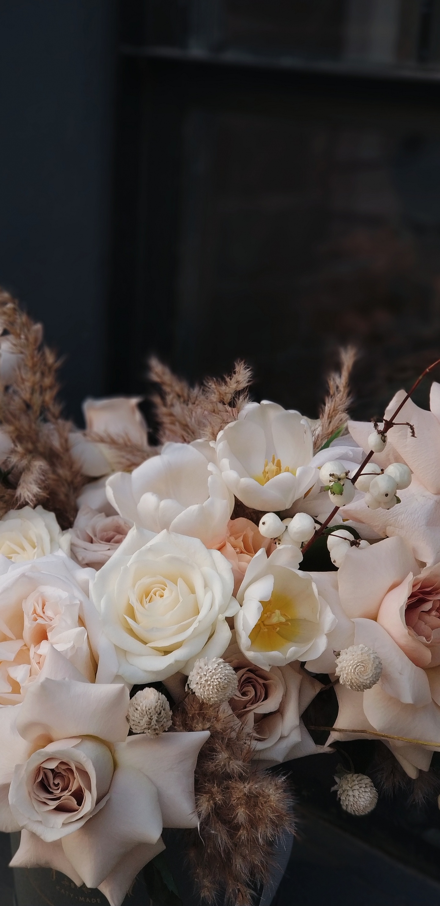 Обои белая роза, розовый, Роза, цветок, цветочный букет в разрешении 1440x2960