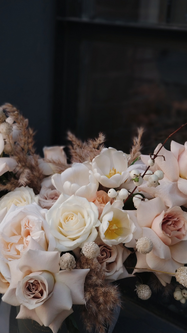 Обои белая роза, розовый, Роза, цветок, цветочный букет в разрешении 750x1334