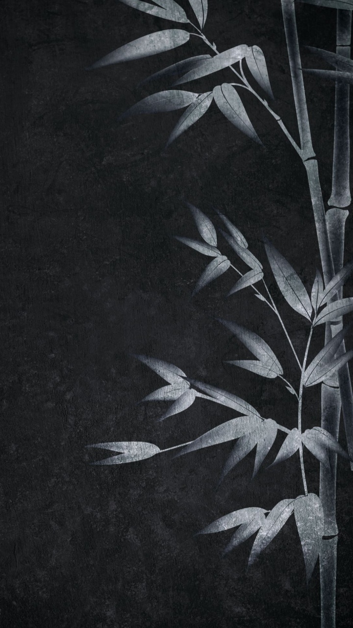 Обои визуальное искусство, черный и белый, арт, ветвь, наземное растение в разрешении 720x1280