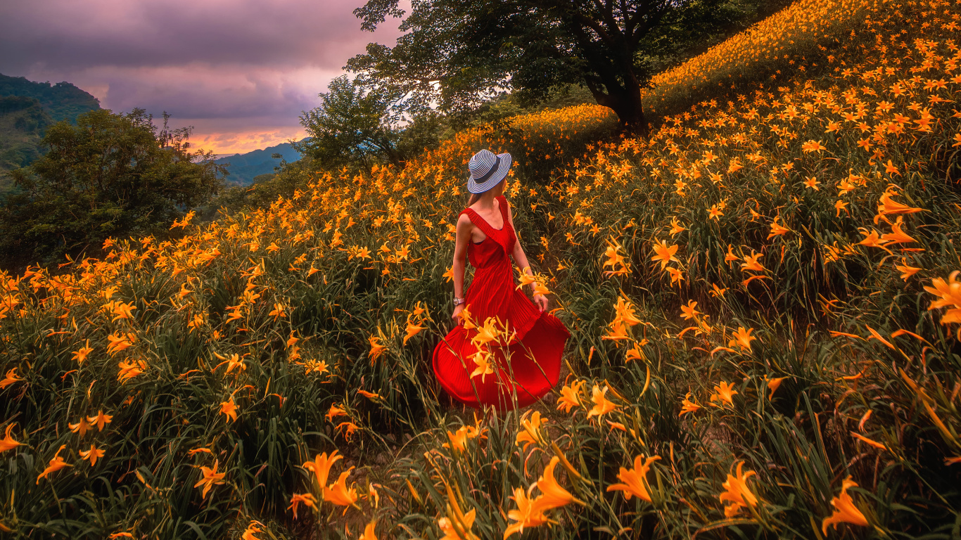 Обои природа, облако, солнечный свет, весна, утро в разрешении 1366x768