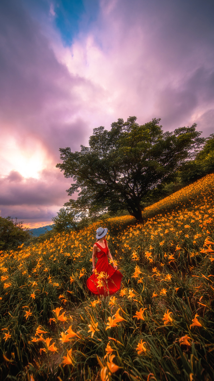 Обои природа, облако, солнечный свет, весна, утро в разрешении 750x1334