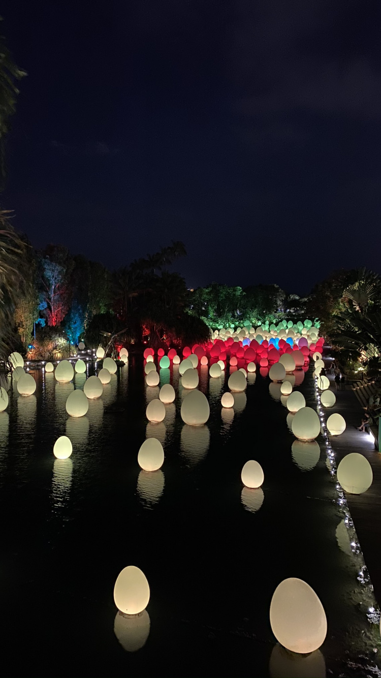 Обои Сингапур, отражение, вода, ландшафтное освещение, ночь в разрешении 750x1334