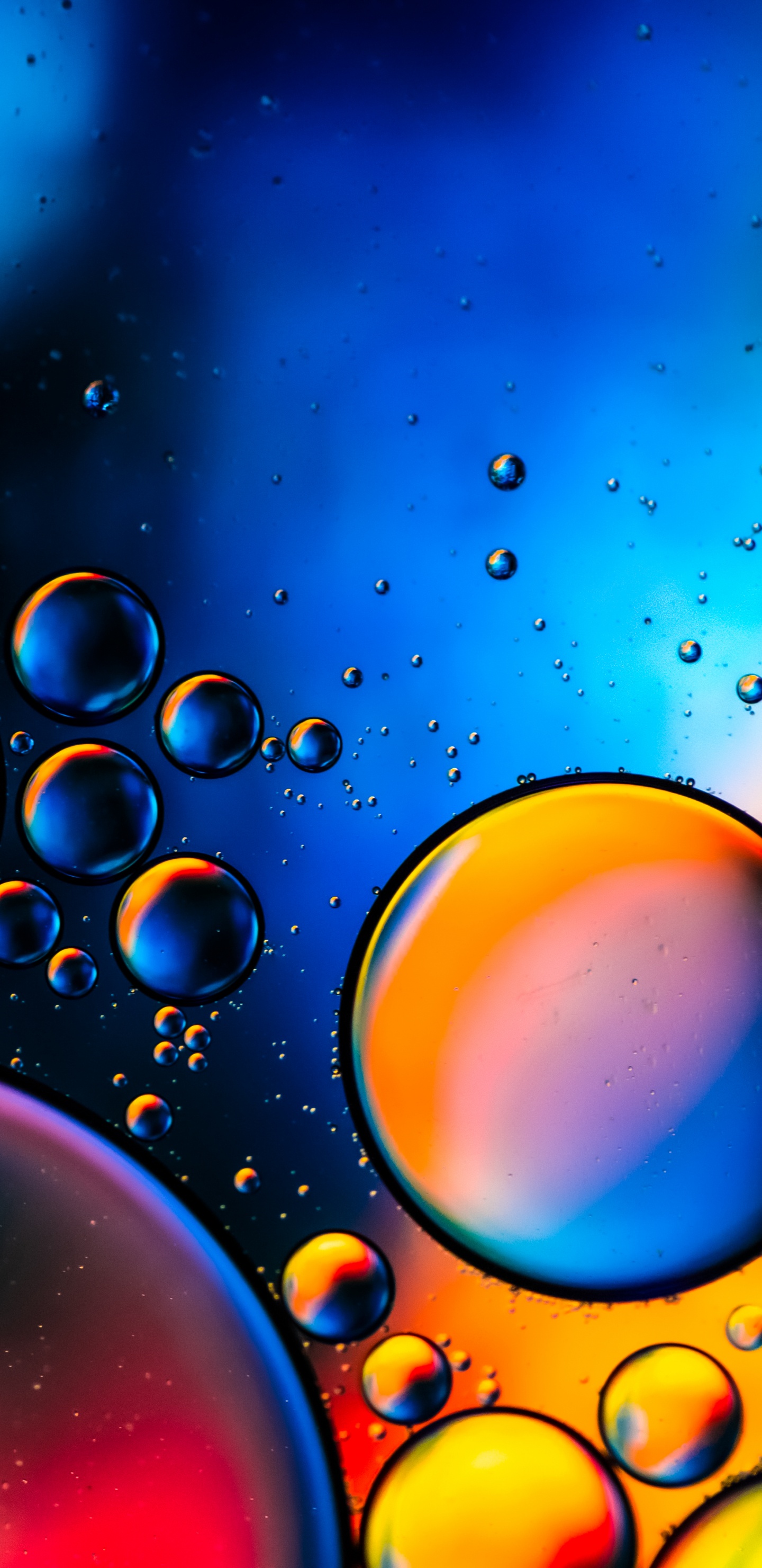 Обои падение, цветной, красочность, жидкий, свет в разрешении 1440x2960