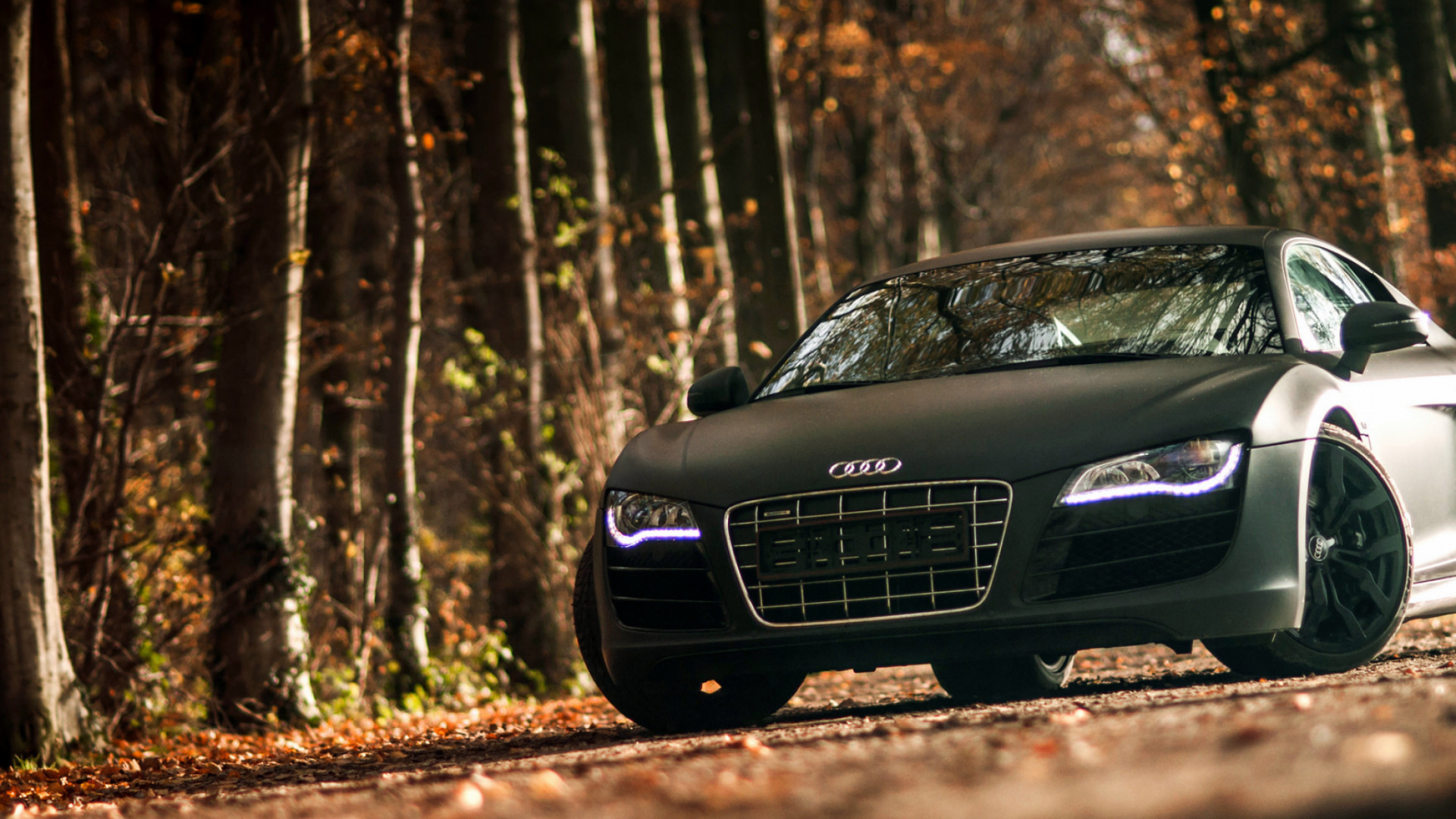 Обои audi r8, спорткар, audi, моторный транспорт, автомобиль в разрешении 1920x1080