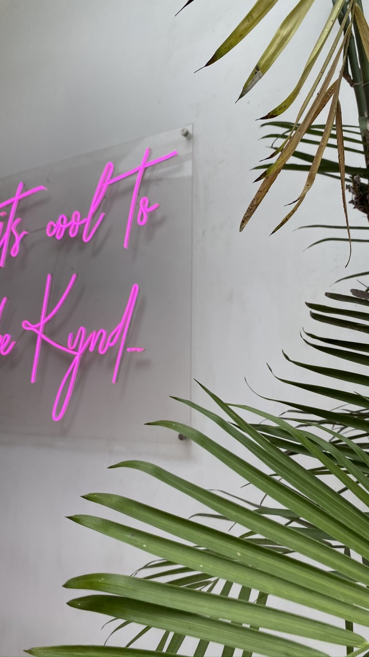 Обои лист, стебель растения, пальмовые рощи, прут, биология в разрешении 720x1280