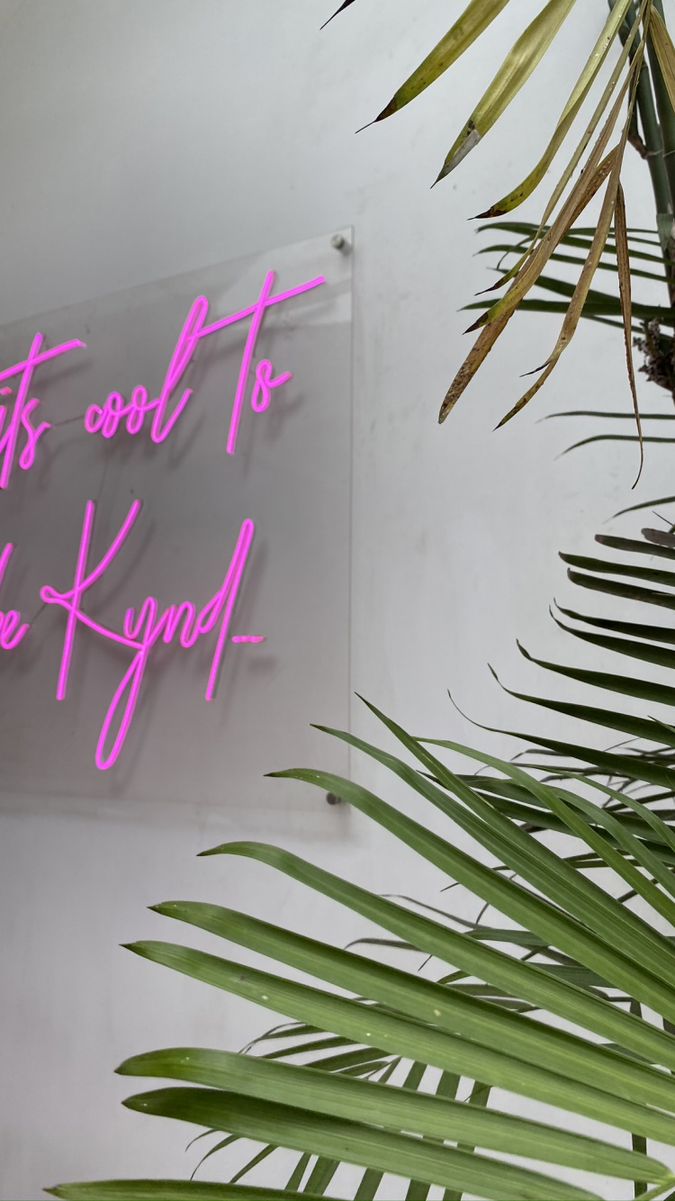 Обои лист, стебель растения, пальмовые рощи, прут, биология в разрешении 750x1334