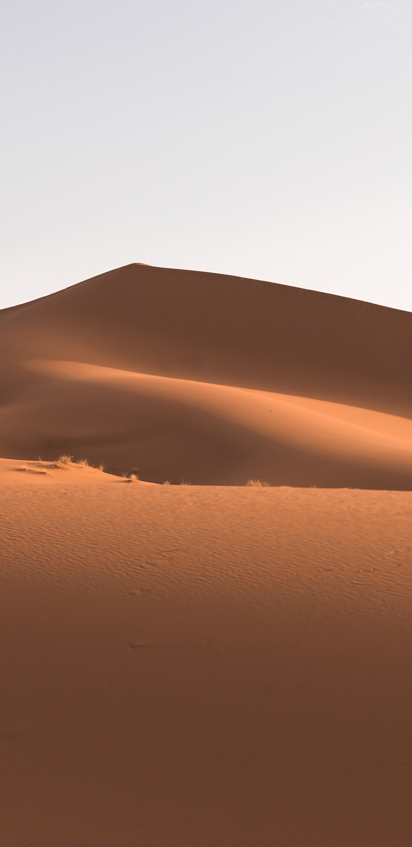 Обои бесплатные пустыню, пустыня, Дюна, песок, эрг в разрешении 1440x2960