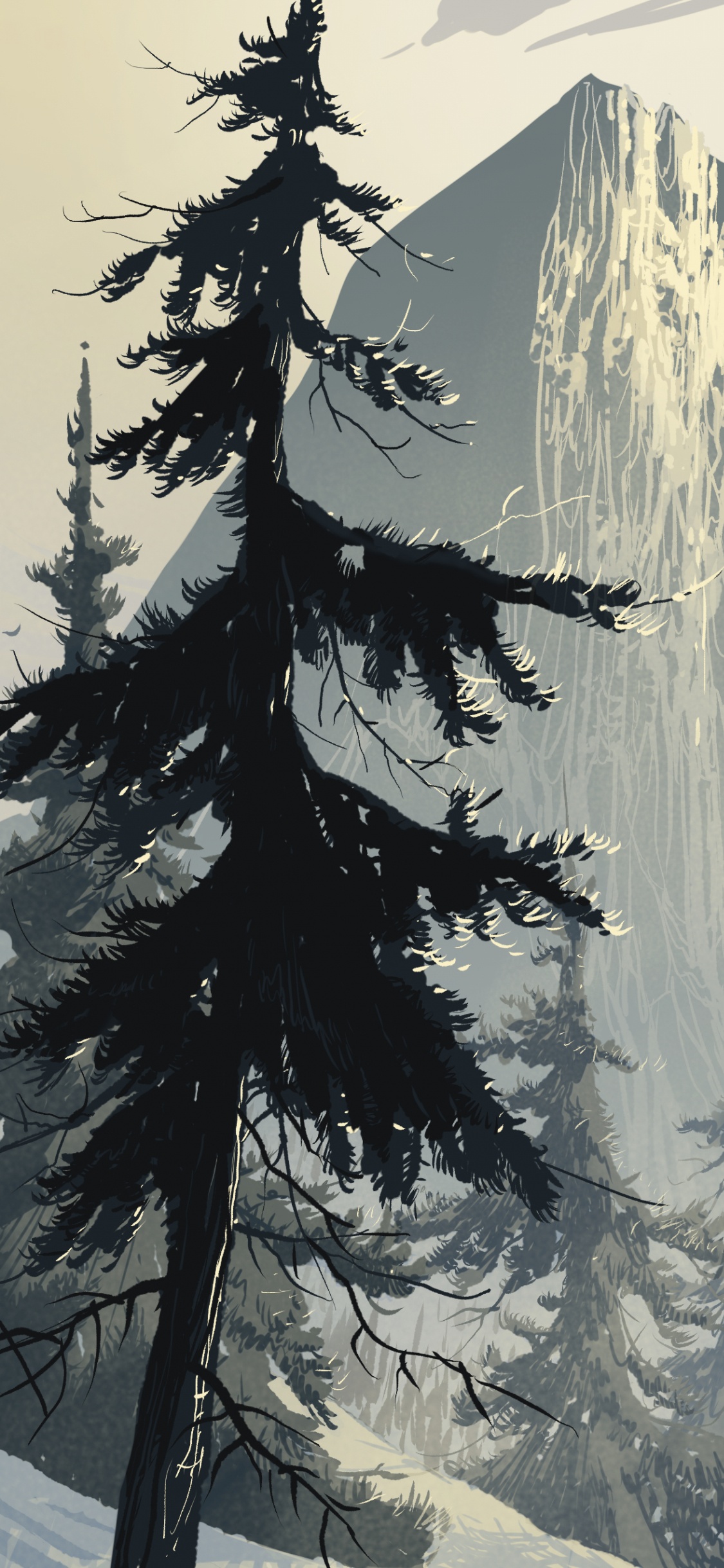 Обои арт, ель, лес, дерево, зима в разрешении 1125x2436