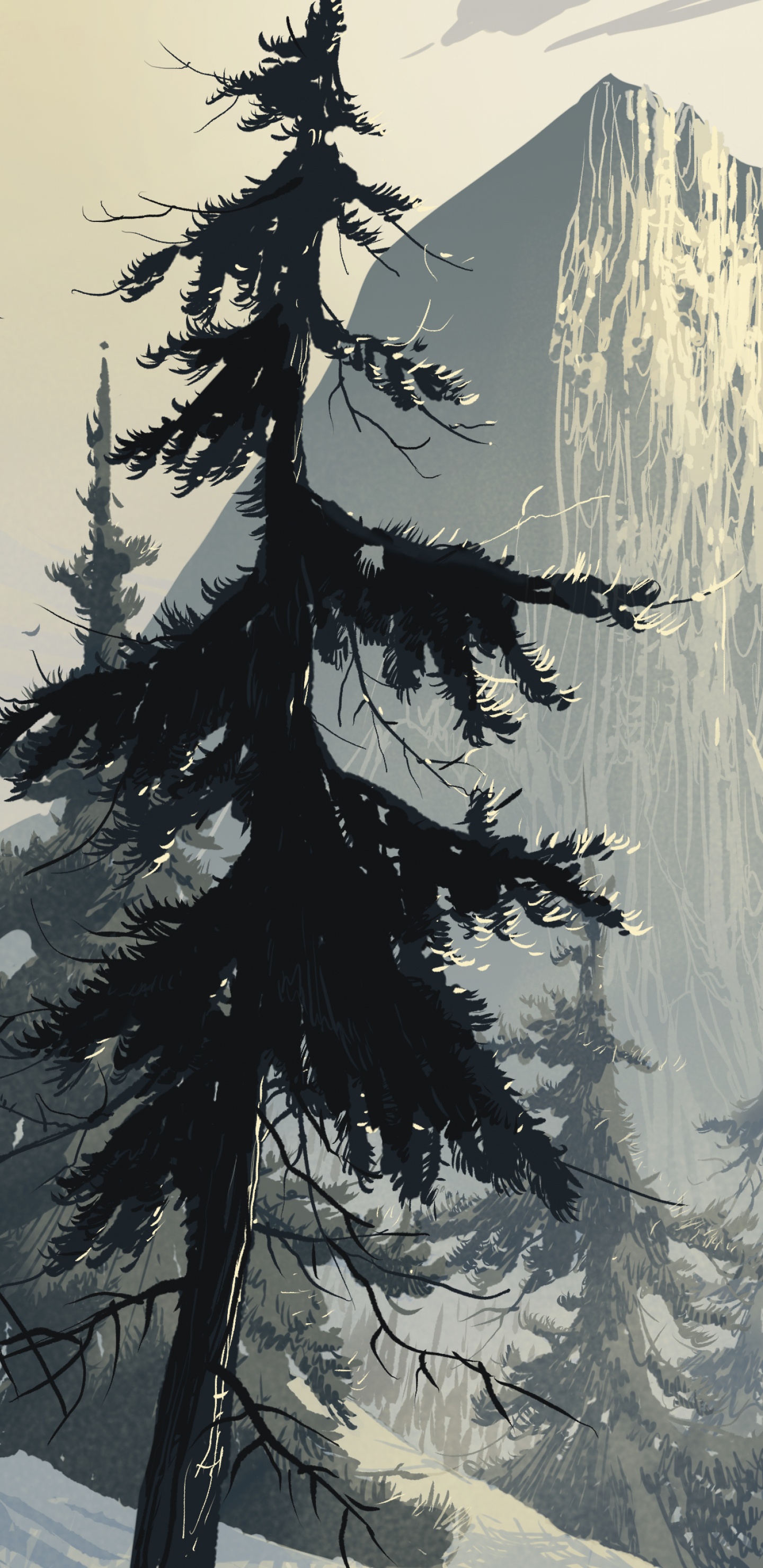 Обои арт, ель, лес, дерево, зима в разрешении 1440x2960