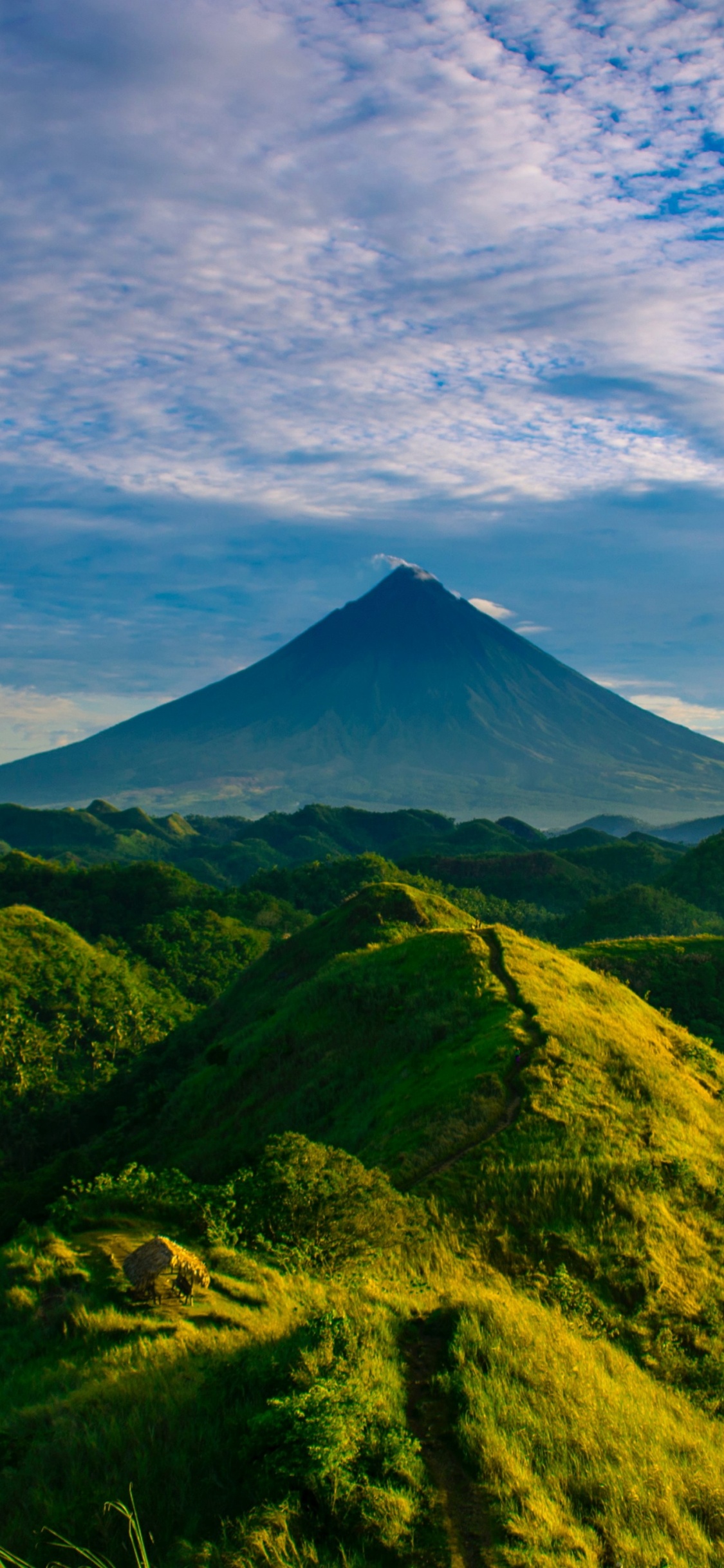 Обои облако, гора, экорегион, лист, синий в разрешении 1125x2436