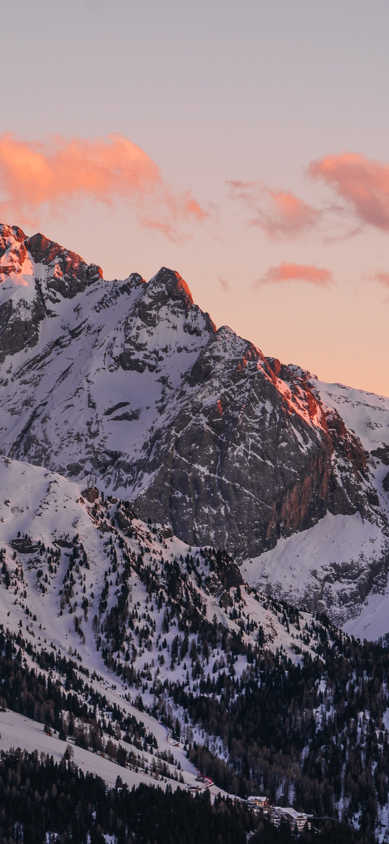 Обои радость, проектор, кинотеатр у тебя дома ес, ультракороткий ход, лазерный проектор в разрешении 1242x2688