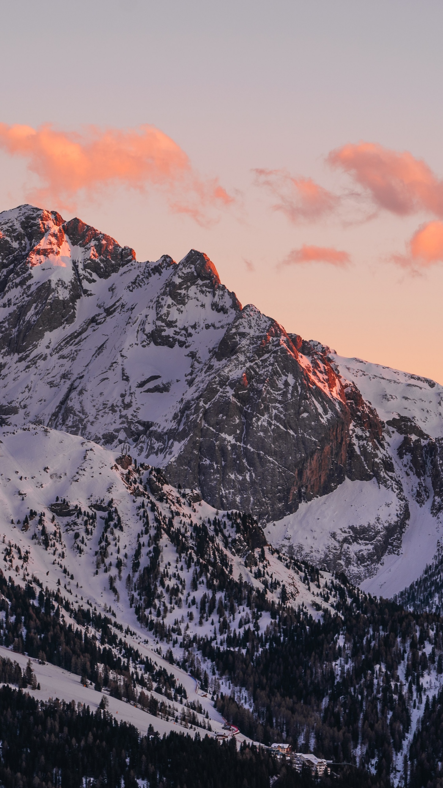 Обои радость, проектор, кинотеатр у тебя дома ес, ультракороткий ход, лазерный проектор в разрешении 1440x2560