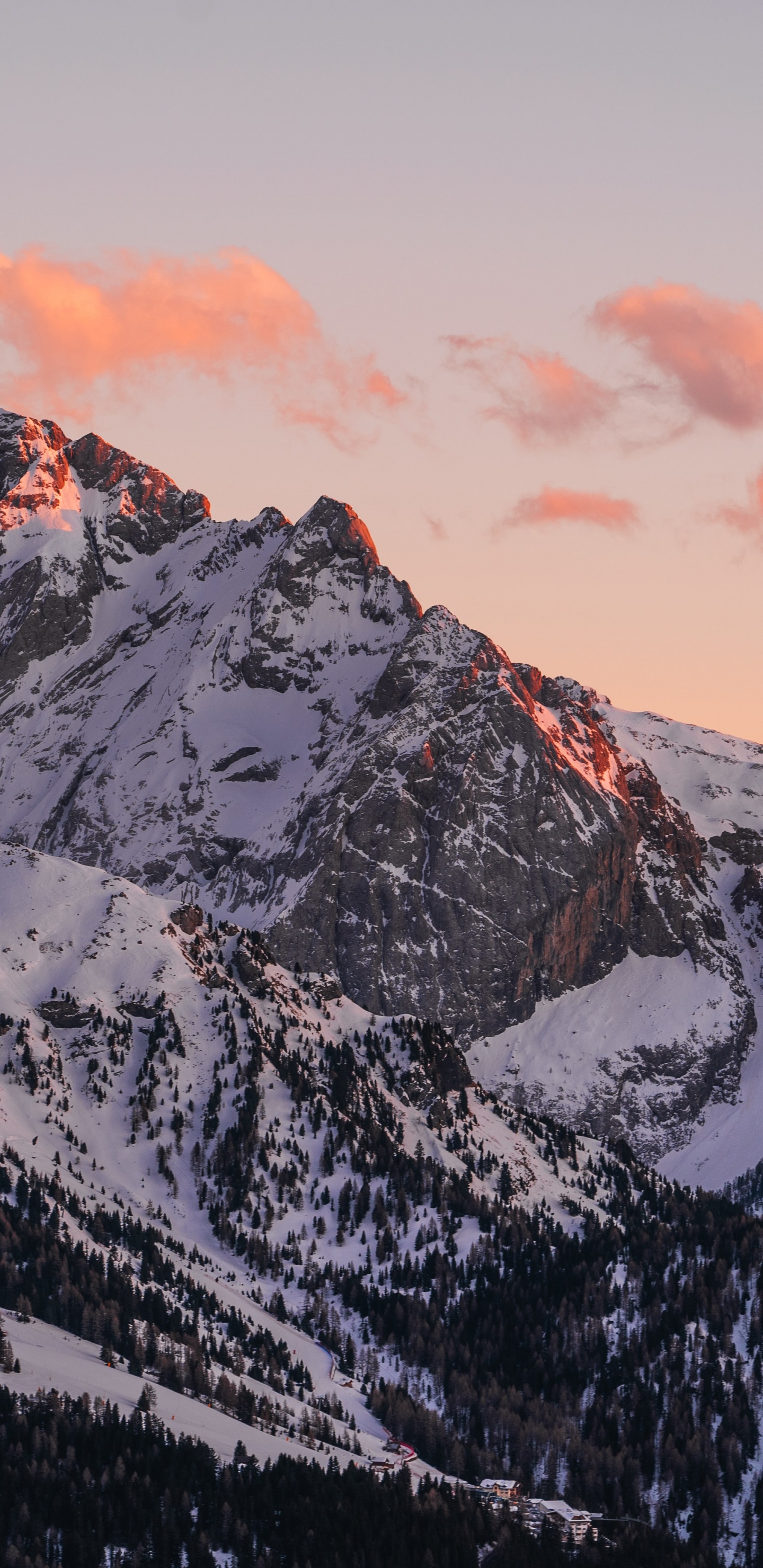 Обои радость, проектор, кинотеатр у тебя дома ес, ультракороткий ход, лазерный проектор в разрешении 1440x2960