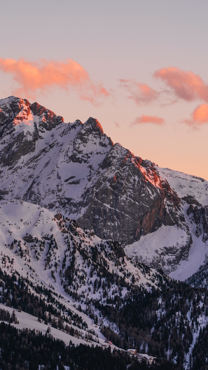 Обои радость, проектор, кинотеатр у тебя дома ес, ультракороткий ход, лазерный проектор в разрешении 720x1280